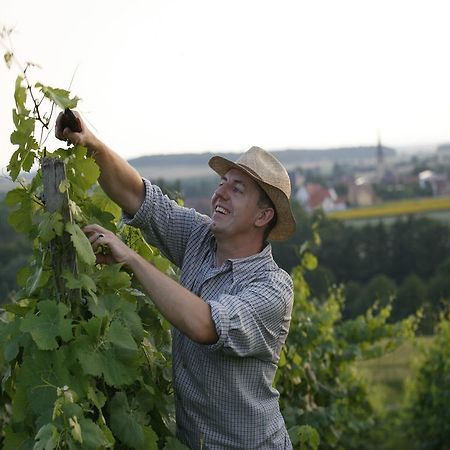 Worners Schloss Weingut & Wellness-Hotel Prichsenstadt Ngoại thất bức ảnh