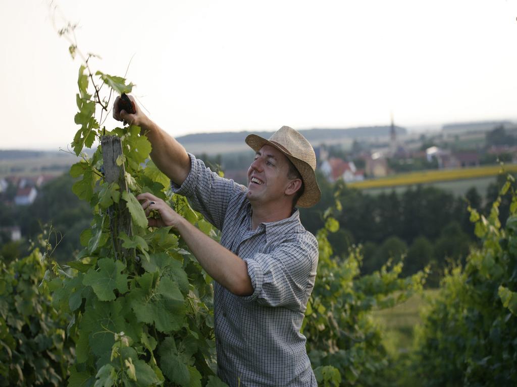 Worners Schloss Weingut & Wellness-Hotel Prichsenstadt Ngoại thất bức ảnh