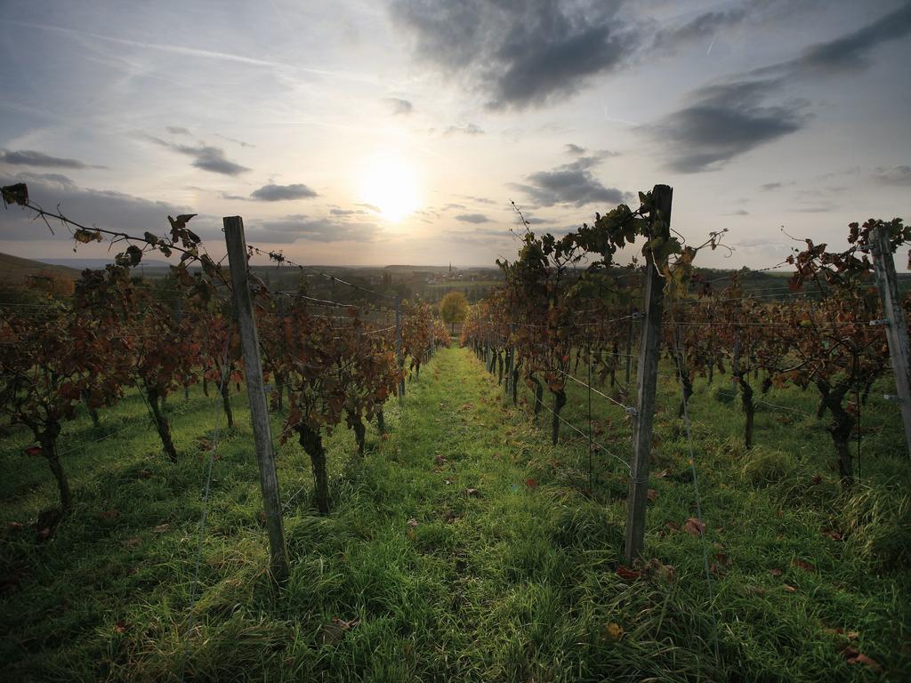 Worners Schloss Weingut & Wellness-Hotel Prichsenstadt Ngoại thất bức ảnh