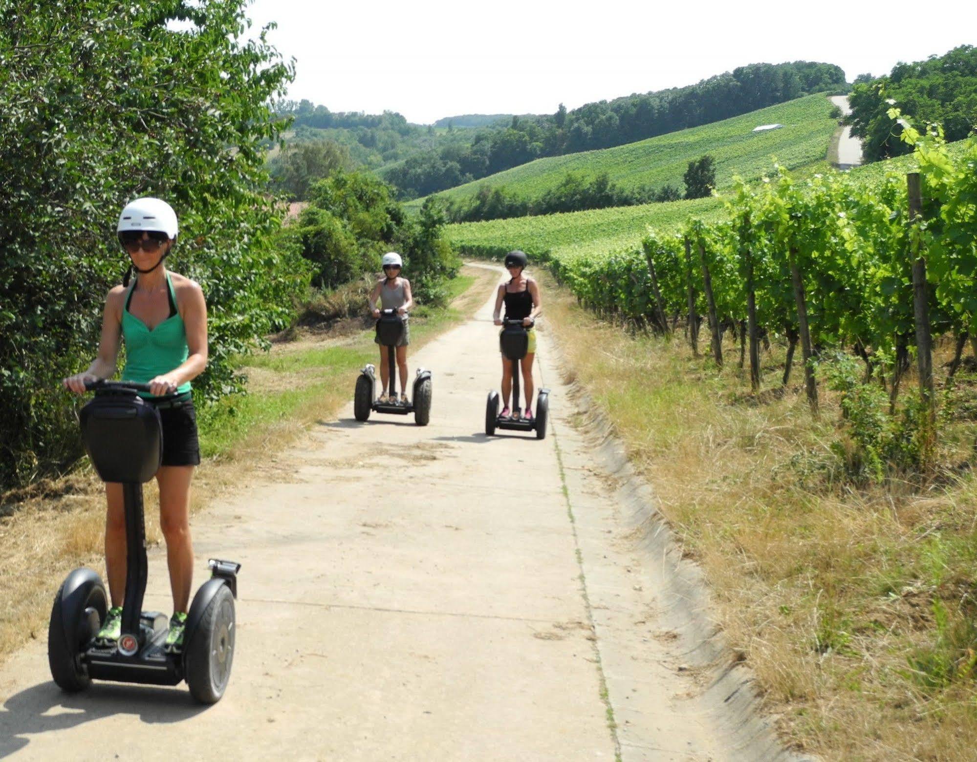 Worners Schloss Weingut & Wellness-Hotel Prichsenstadt Ngoại thất bức ảnh